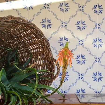 Holiday home Natureza Vulcanica